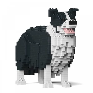 Jekca-Border Collie
