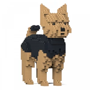 JEKCA - Yorkshire Terrier