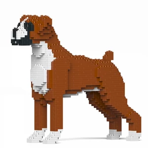 JEKCA - Boxer JEKCA - Boxer