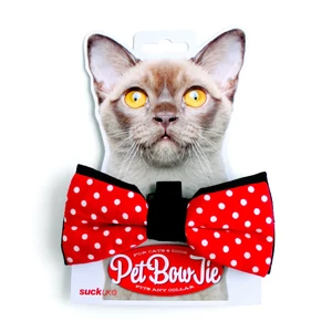 Kedvenc Csokornyakkendő