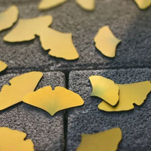 Kép 3/5 - gingko mágnes utcán