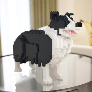 Kép 4/5 - JEKCA - Border Collie