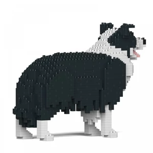 Kép 3/5 - JEKCA - Border Collie