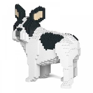 Kép 3/4 - JEKCA - Francia Bulldog