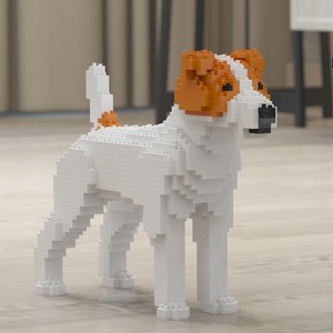 JEKCA - Jack Russel Terrier