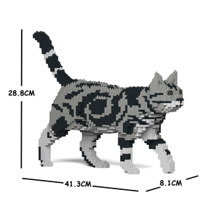 Kép 3/4 - JEKCA - Sétáló Amerikai rövidszőrű macska 