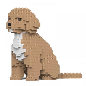 Kép 4/4 - JEKCA - Cockapoo