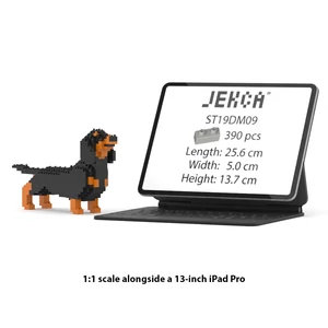 Kép 4/4 - JEKCA - Tacskó - mini