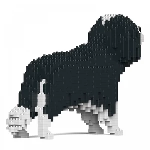 Kép 3/4 - JEKCA - Cavalier King Charles Spániel