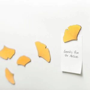 Kép 1/5 - gingko mágnes