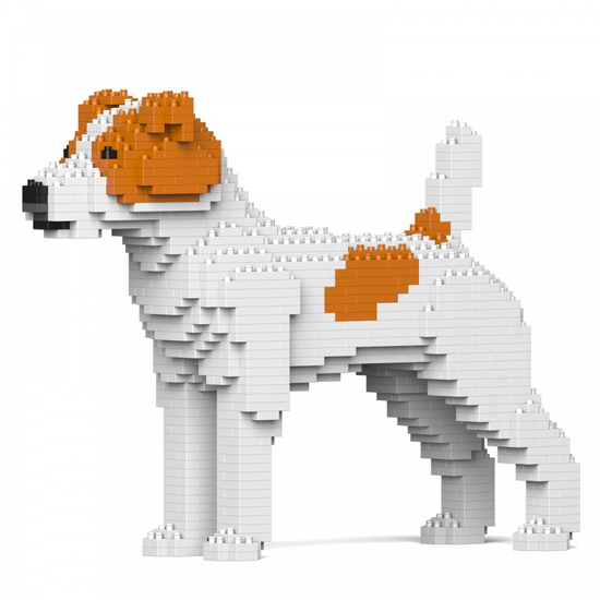 Jekca-Jack Russel Terrier